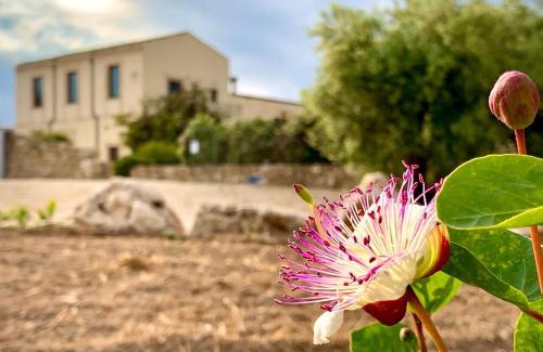 Noto Casa | Pantanelli Di Vendicari