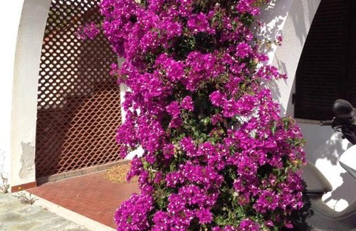 Ceriale Apartamento | PAOLI CasaVacanza Liguria Ceriale
