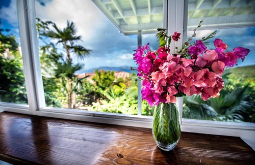 Estate Enighed Apartamento | Papaya Suite at Sunset Serenade
