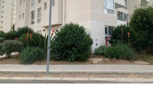 Papudo Apartamento | PAPUDO LAGUNA