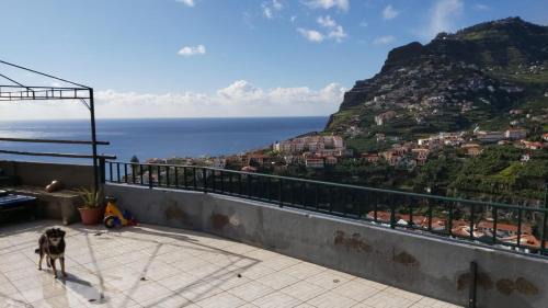 Camara de Lobos Casa | Paraíso Pico da Torre