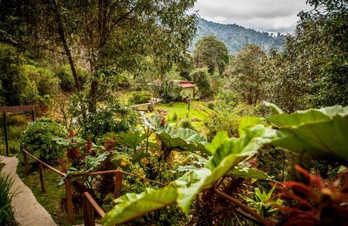 Copey Cabina | Paraíso Quetzal Lodge