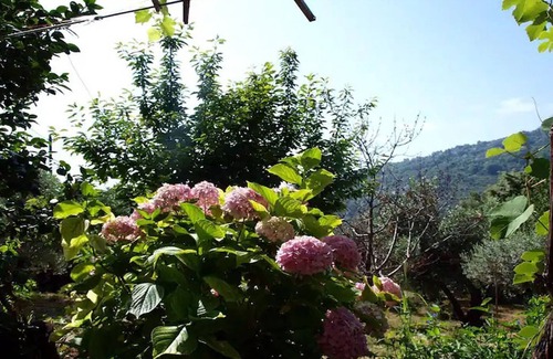 Agios Dimitrios Apartamento | Paradeisos Flatlet With Garden View