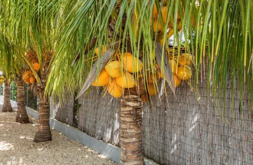 Fontein Apartamento | Paradise Apartments - Curacao