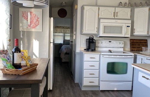 Nettles Island Cabaña | Paradise awaits - Just Across from Atlantic Ocean