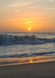 Alappuzha Apartamento | Paradise beach homestay