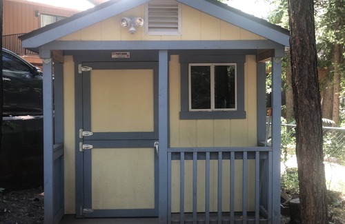 Christopher Creek Cabina | Paradise Cabin in the Pines Comfortable Patios and porch swing Watch kids play
