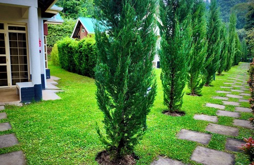 Nyeri Hotel | Paradise Farm Cottages Mbui