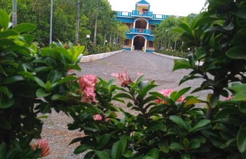 Auroville Complejo | Paradise Forest Resort