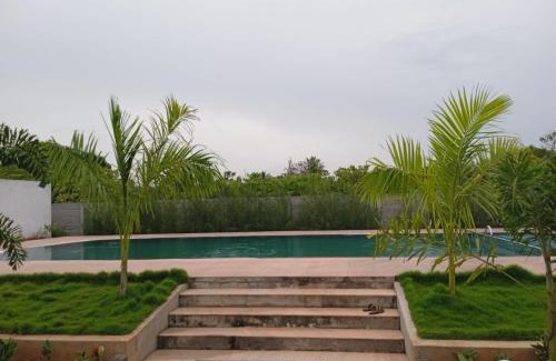 Auroville Complejo | Paradise Forest Resort