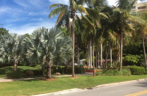 Key Biscayne Condominio | Paradise Found, una magnífica ubicación