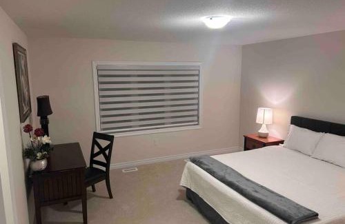 Thorold Apartamento | Paradise Island