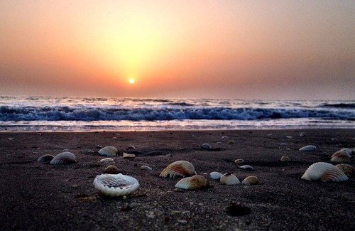 Gunjur Cabaña | ¡Paraíso! En La Playa Del Sur De Gambia, África Occidental.