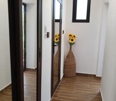Polski Trambesh Casa | Paradise Park