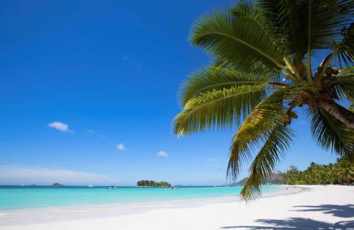 Praslin Island Hotel | Paradise Sun Hotel Seychelles