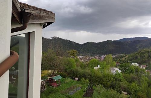 Brasov Villa | Paradise View