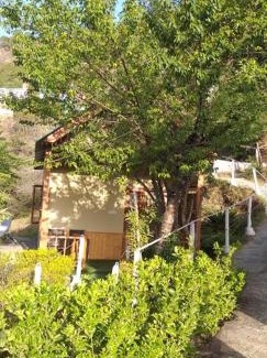 Shimla Complejo | Paradise Village Resort
