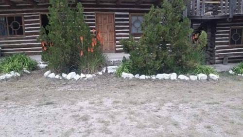 Creel Casa | Parador Arew La Energa Que Impulsa El Alma
