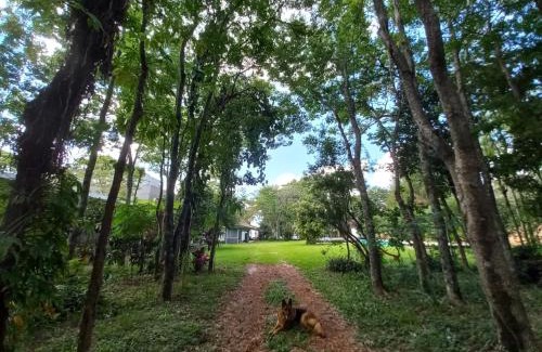 Posadas Apartamento | Parana Riverside Guest House - Posadas