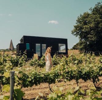 Saint-Romain-en-Viennois Chalet De Esquí | Parcel Tiny House au coeur des vignes proche Mont Ventoux
