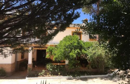 Priego de Córdoba Casa | Paredejas del Rey