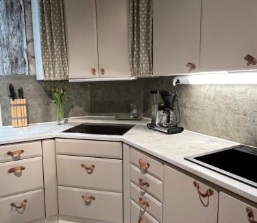 Riihimaki Apartamento | Paritalohuoneisto omalla pihalla