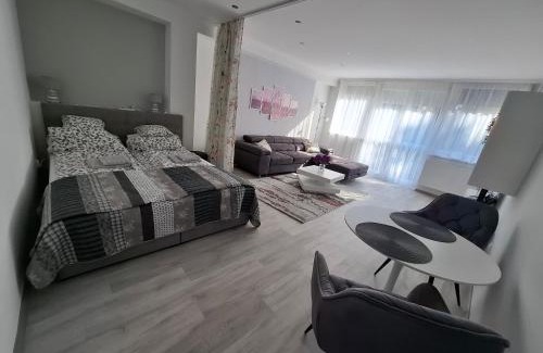 Kaposvar Apartamento | Park Apartman