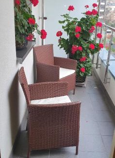Grzegorzki Apartamento | PARK GRZEGÓRZKI