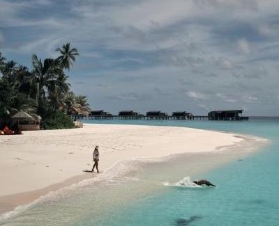 Hadahaa Complejo | Park Hyatt Maldives Hadahaa