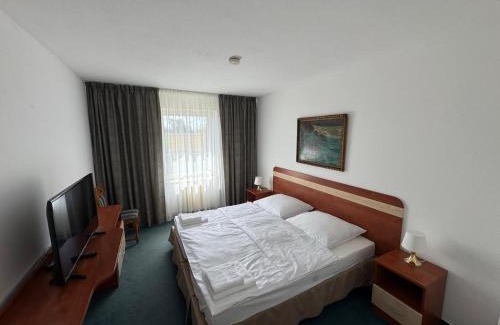 Benatky nad Jizerou Casa | Park Pension