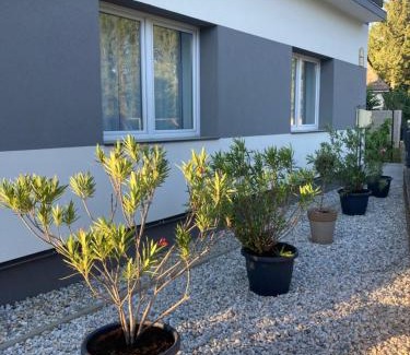 Bakonyszentkiraly Apartamento | Park Vendégház