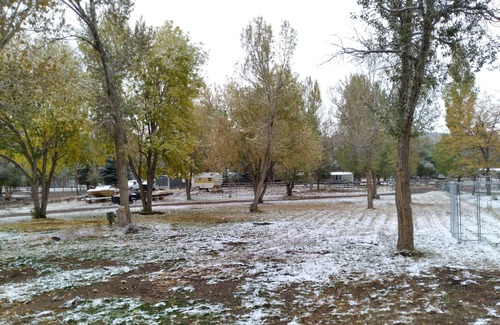 Beaver Alquiler De RV | Park your RV in a 1 acre yard where mule deer and wild turkeys roam daily.