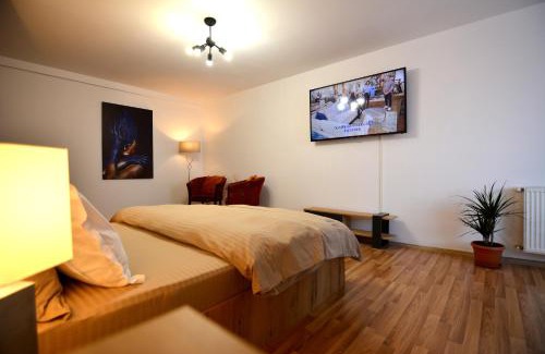 Fagaras Apartamento | park32