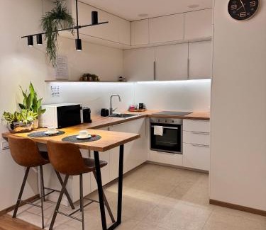 Panevezys Apartamento | Parko rezidencija apartments II - SELF CHECK-IN