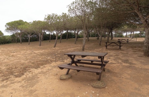 Sagres Alquiler De RV | Parque de Campismo Orbitur Sagres