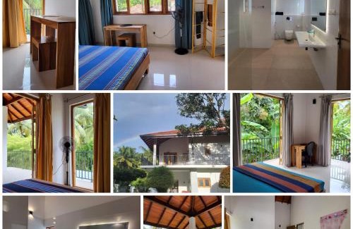 Negombo Casa | Parrot Paradise Negombo