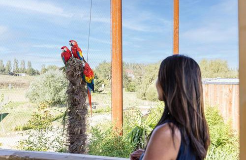 Crecy-la-Chapelle Cabina | Parrot World - Les Lodges