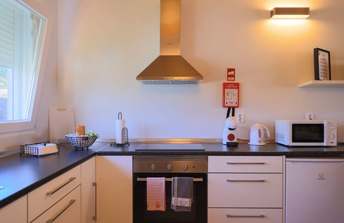 Ribeira Grande Otro | Parrots Village