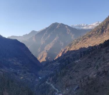 Kullu Cabina | Parvati Central