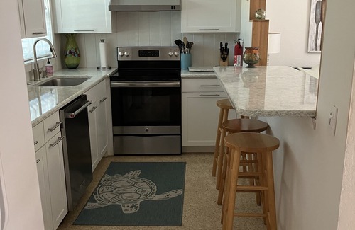 Pass-a-Grille Condominio | Pasar una rejilla (4 cuadras S. Don Cesar, 1 casa a la playa, piscina)