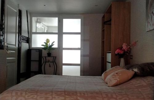 Horbourg-Wihr Casa | Passage des Romains studio