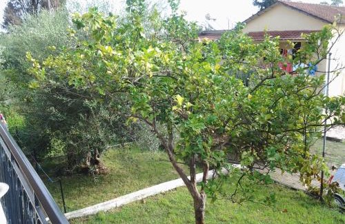 Benitses Apartamento | Passas Mare Apartments & Studios