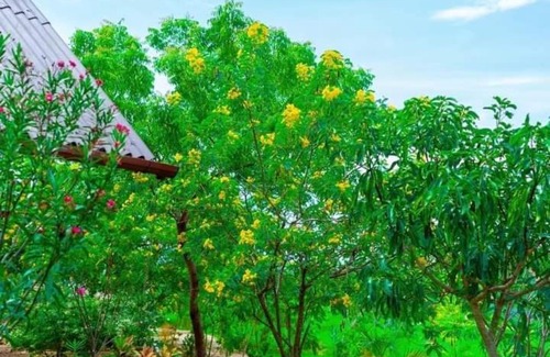 Pasikuda Complejo | Passi Nature Villas Pasikuda