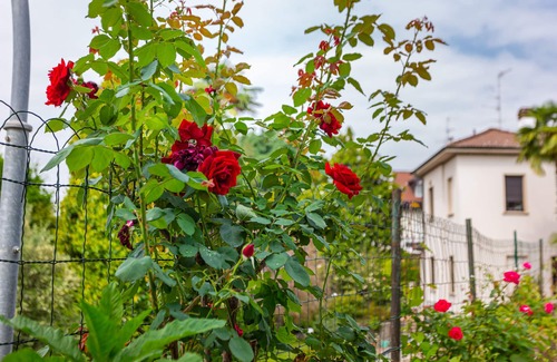 Gallarate Casa | Pasta Residence-Family apartment ideal for Malpensa or long stays