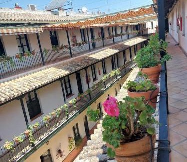 San Lorenzo Apartamento | Patio Cartuja