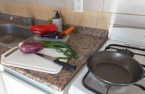 Neuquén Apartamento | Patio con parrilla junto a tu mascota!