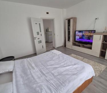 Ocna Mures Casa | Paul's Houses