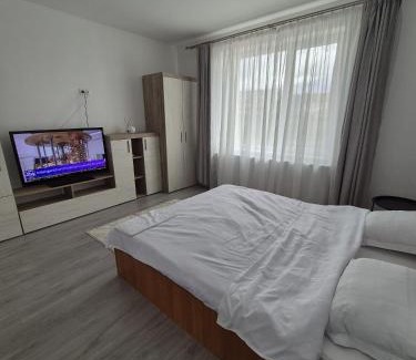 Ocna Mures Casa | Paul's Houses