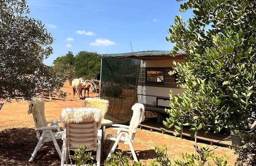 Lagos Casa | Caravana Pauls para 4 - Mira los caballos desde tu cama