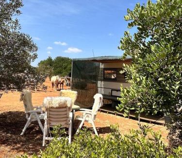 Lagos Casa | Pauls caravan for 4 - See the horses from your bed
